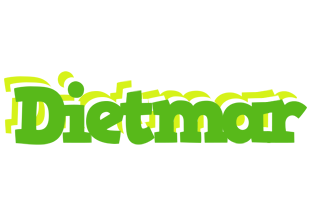 Dietmar picnic logo