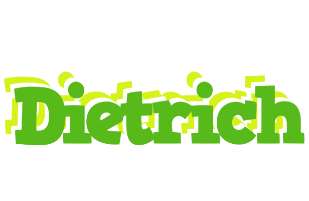 Dietrich picnic logo