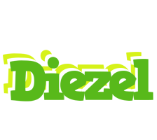 Diezel picnic logo