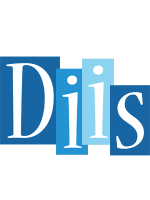 Diis winter logo