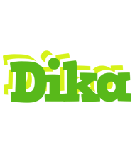 Dika picnic logo