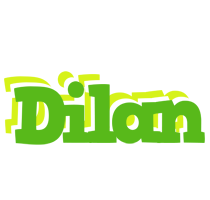 Dilan picnic logo