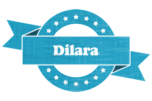 Dilara balance logo