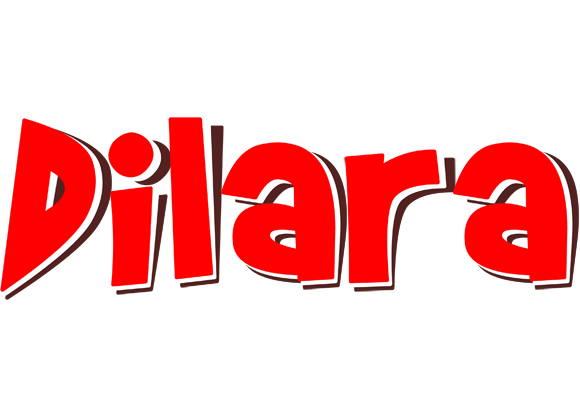 Dilara basket logo