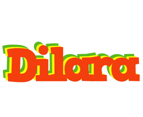 Dilara bbq logo