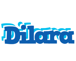 Dilara business logo