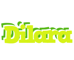 Dilara citrus logo