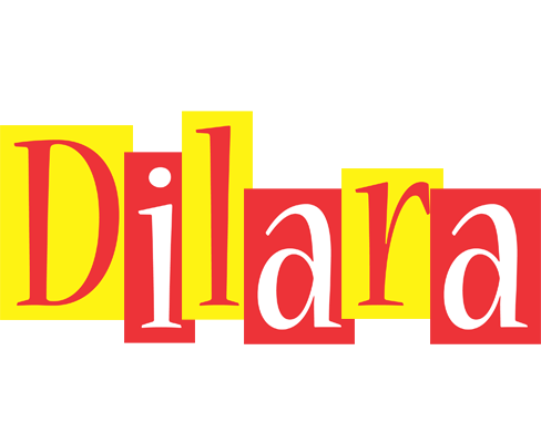Dilara errors logo