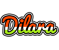 Dilara exotic logo
