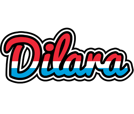 Dilara norway logo