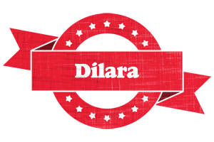 Dilara passion logo