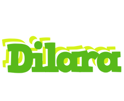 Dilara picnic logo