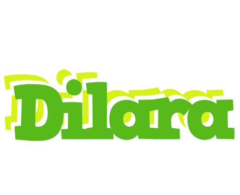 Dilara picnic logo