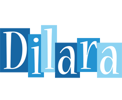 Dilara winter logo