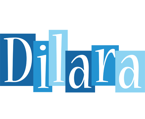 Dilara winter logo