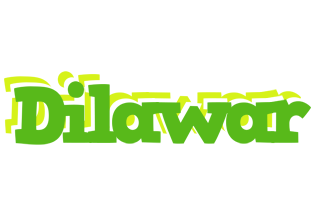 Dilawar picnic logo