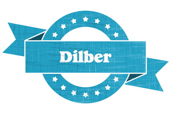 Dilber balance logo