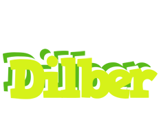 Dilber citrus logo