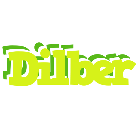 Dilber citrus logo