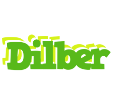 Dilber picnic logo