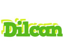 Dilcan picnic logo