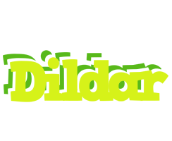 Dildar citrus logo