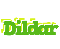 Dildar picnic logo