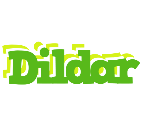 Dildar picnic logo