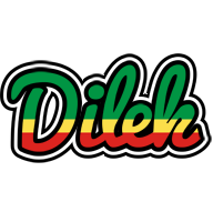 Dilek african logo