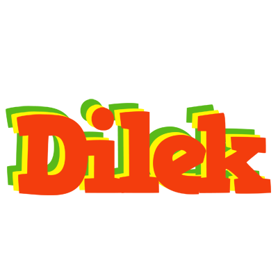 Dilek bbq logo