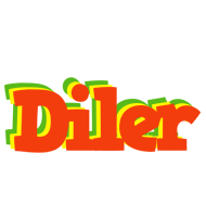 Diler bbq logo