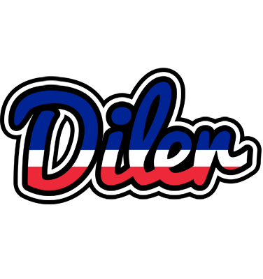 Diler france logo