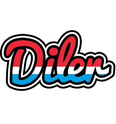 Diler norway logo