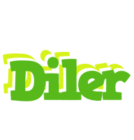 Diler picnic logo