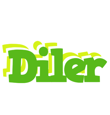 Diler picnic logo