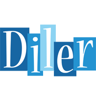 Diler winter logo