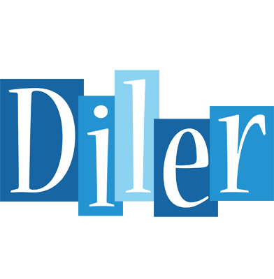 Diler winter logo