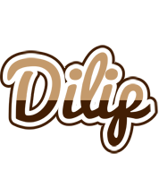 Dilip exclusive logo