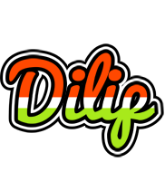 Dilip exotic logo