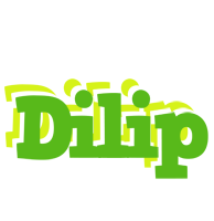 Dilip picnic logo