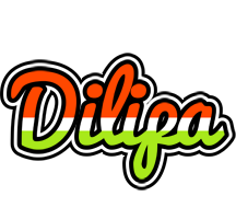 Dilipa exotic logo