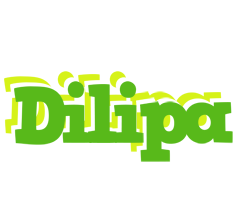 Dilipa picnic logo