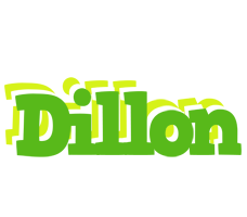 Dillon picnic logo