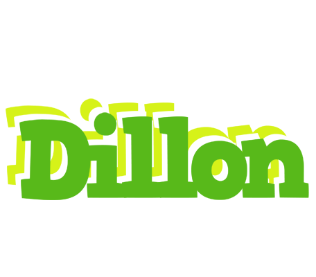 Dillon picnic logo