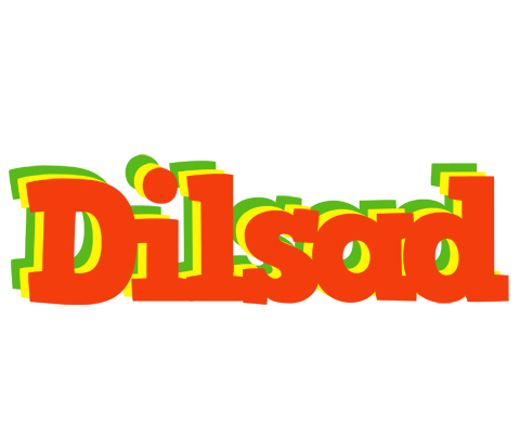 Dilsad bbq logo