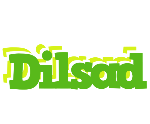 Dilsad picnic logo