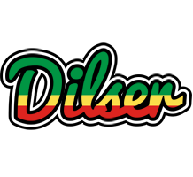 Dilser african logo