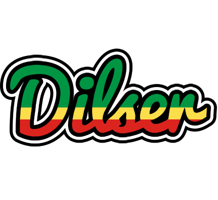 Dilser african logo