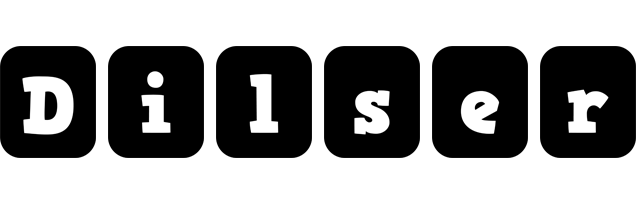 Dilser box logo