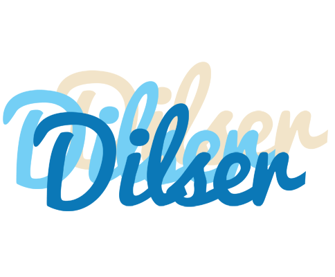 Dilser breeze logo
